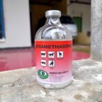 DEXAMETHASONE 100 ML BY PANTEX HOLLAND - Anti Radang & Alergi Pada Hewan Ternak