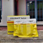 COLIBACT 2 BOLUS 1 BLISTER (1 STRIP ISI 2 BOLUS) - Obat Ternak Sapi Kuda Domba Babi