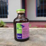 LIM0XIN-50 ISI 50 ML- AB Untuk Hewan Ternak Sapi Kambing Domba