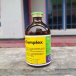 INTROVIT B COMPLEX 100 ML BY HOLLAND INTERCHEMIE - Multivitamin B Complex Untuk Nafsu Makan Ternak.