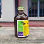 INTROVIT B COMPLEX 100 ML BY HOLLAND INTERCHEMIE - Multivitamin B Complex Untuk Nafsu Makan Ternak.