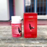 WINNER CALVITA 1 BOTOL (ISI 10 KAPSUL) BY MEDION - Atasi Ayam Lumpuh & Tulang Kuat Laga.