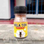 BELA TOX 30 GRAM - Ampuh Atasi Dan Basmi Lalat Ekonomis.