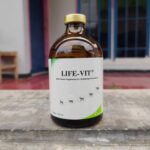 LIFE VIT 100 ML BY KALBE - Multivitamin Lengkap Mengandung Vit A, D3, B Complex, Vit C Dan K.