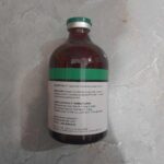 RHEINBIO 100 ML - Vitamin Untuk Mengembalikan Energi Pada Hewan Ternak