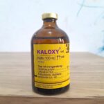 KALOXY VET 100 ML -  AB Untuk Pernapasan Dan Pencernaan Hewan Ternak