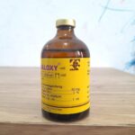 KALOXY VET 100 ML -  AB Untuk Pernapasan Dan Pencernaan Hewan Ternak