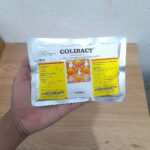 COLIBACT SERBUK 100 GRAM - Untuk Colibacillosis, Coryza, Fowl Cholera, Pullorum, Snot/Coryza.