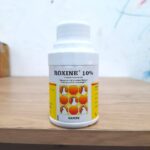 ROXINE 10% ORAL 100 ML - Antibiotik Pernafasan, CRD, Snot Dan Spektrum Luas.