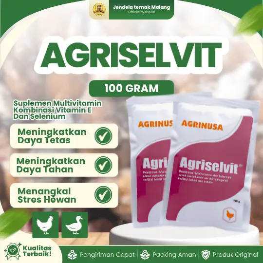 10 PCS AGRISELVIT 100 GRAM BY AGRINUSA LEBIH MURAH – Untuk Meningkatkan Produktivitas & Imunitas Pada Unggas Ayam