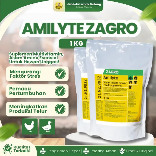 AMILYTE ZAGRO 1 KG – MultiVitamin Dan Suplemen Asam Amino Elektrolit Untuk Ayam Dll.