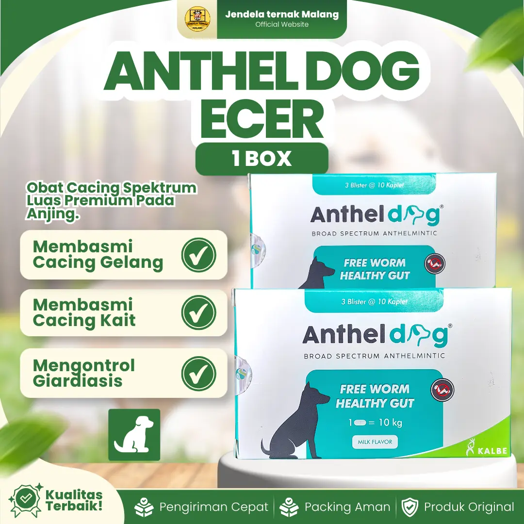 ANTHEL DOG 1 BOX (30 TABLET) – Untuk Masalah Cacing Pada Doggy Anjing By Kalbe