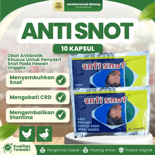 ANTI SNOT 10 KAPSUL by EKA FARMA – Ampuh Untuk Korisa, Coryza, Snot Dan Pilek Pada Unggas.