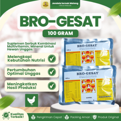 BRO-GESAT 100 GRAM – Multivitamin, Mineral Dan Asam Amino Untuk Pertumbuhan Unggas.