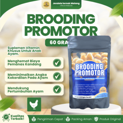 BROODING PROMOTOR 60 GRAM – Suplemen Vitamin Masa Brooding Broiler / Ayam Pedaging.