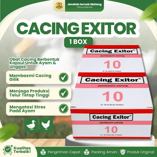 CACING EXITOR 1 BOX (ISI 50 SACHET – 10 KAPSUL) – Untuk Masalah Cacing pada Ayam, Bebek Dan Unggas