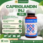 CAPRIGLANDIN INJ 10 ML – Hormon Sinkronisasi Estrus Hewan Ternak.