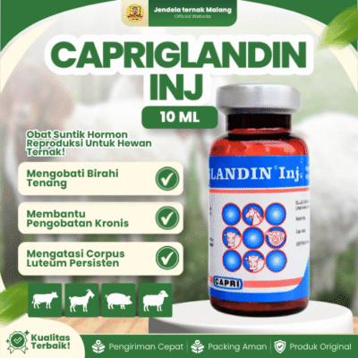 CAPRIGLANDIN INJ 10 ML – Hormon Sinkronisasi Estrus Hewan Ternak.