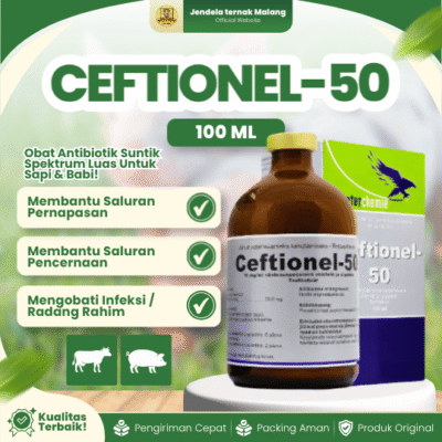 CEFTIONEL-50 100 ML – Untuk Saluran Pernafasan dan Pencernaan Hewan