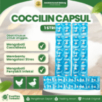 COCCILIN CAPSUL 1 STRIP ISI 10 KAPSUL BY WONDER - Anti Ngorok , CRD, Pilek, Snot Untuk Hewan.