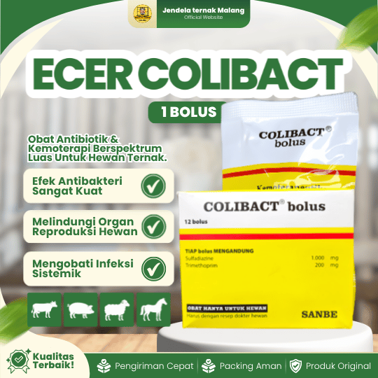 COLIBACT BOLUS ECER - Untuk Diare Hewan Sapi, Kuda, Domba, Babi Dan Lainnya.