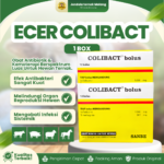 COLIBACT 12 BOLUS 1 BOX ( 6 Strip isi 2 Bolus) Obat Sapi Kuda Domba Babi