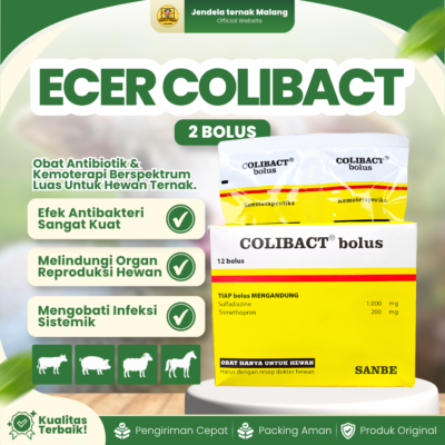 COLIBACT 2 BOLUS 1 BLISTER (1 STRIP ISI 2 BOLUS) – Obat Ternak Sapi Kuda Domba Babi