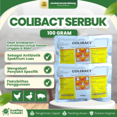 COLIBACT SERBUK 100 GRAM – Untuk Colibacillosis, Coryza, Fowl Cholera, Pullorum, Snot/Coryza.