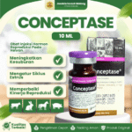 CONCEPTASE 10 ML BY AGROVET - Hormon Kesuburan Dan Gangguan Reproduksi Hewan (Buserelin GNRH)