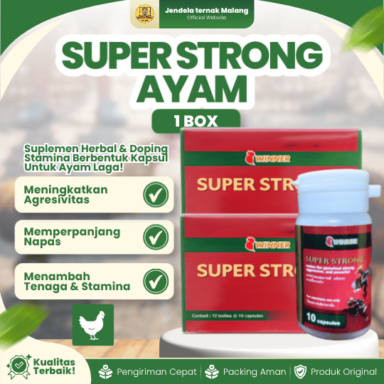 SUPER STRONG AYAM 1 BOX (12 BOTOL) - Suplemen Vitamin Multivitamin Ayam Penambah Stamina Ayam
