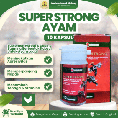 SUPER STRONG AYAM 1 BOTOL (ISI 10 KAPSUL) – Vitamin Jamu Ayam Bangkok