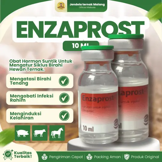 ENZAPROST 10 ML HORMON PGF2a – Sinkronisasi Pengobatan Dll Untuk Ternak.