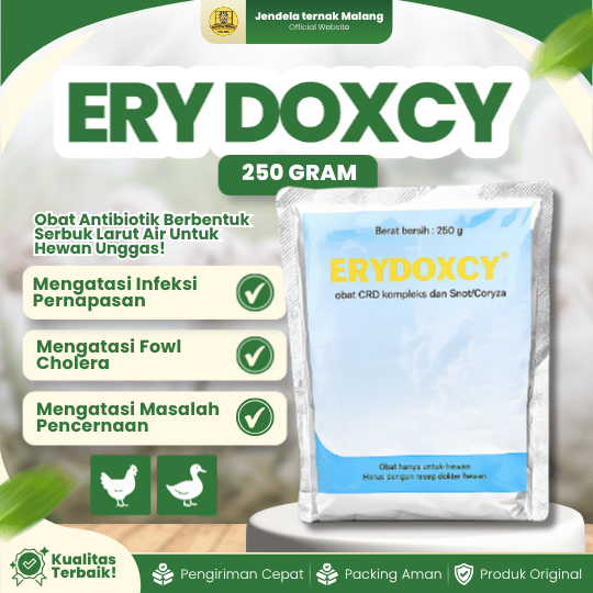 ERY DOXCY 250 GRAM - Mengatasi Masalah Pernafasan dan Pencernaan Unggas.
