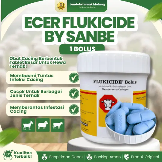 ECER FLUKICIDE BY SANBE 1 BOLUS – Mencegah Cacingan Untuk Hewan Ternak.