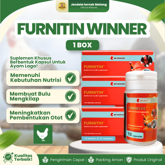 FURNITIN WINNER MEDION 1 BOX (12 BOTOL) - Untuk Vitamin Otot Dan Bulu Ayam