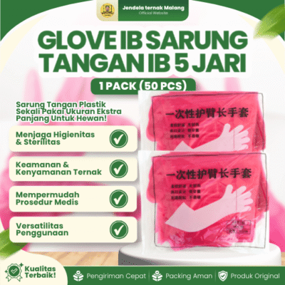 GLOVE IB SARUNG TANGAN IB 5 JARI 1 PACK 50 PCS – Sarung Tangan Inseminasi Buatan 50 pcs.