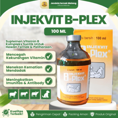 INJEKVIT B-PLEX 100 BY MEDION – Tingkatkan Dan Memperbaiki Produktivitas Imun Hewan Ternak.