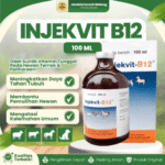 INJEKVIT B12 100 ML BY MEDION – Untuk Pertumbuhan, Selera Malkan, Anemia Dan Radang Pada Kulit Hewan Ternak.