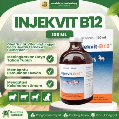 INJEKVIT B12 100 ML BY MEDION – Untuk Pertumbuhan, Selera Malkan, Anemia Dan Radang Pada Kulit Hewan Ternak.