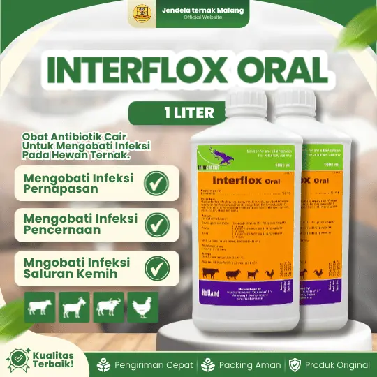 INTERFLOX ORAL 1 LITER – Atasi Flu Dan Diare Pada Ternak Sapi, Kambing, Ayam