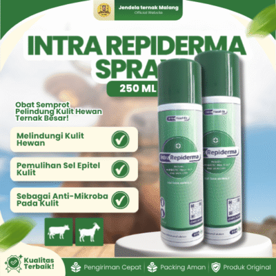 INTRA REPIDERMA SPRAY 250 ML – Untuk Luka Kuku Dan Permasalahan Kulit, PMK Like LIMOXIN SPRAY.