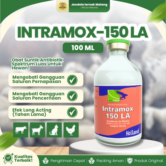 INTRAMOX-150 LA 100 ML - Untuk Masalah Saluran Pernafasan Dan Pencernaan Pada Hewan
