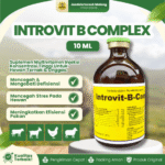 INTROVIT B COMPLEX 100 ML BY HOLLAND INTERCHEMIE – Multivitamin B Complex Untuk Nafsu Makan Ternak.