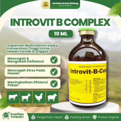 INTROVIT B COMPLEX 100 ML BY HOLLAND INTERCHEMIE – Multivitamin B Complex Untuk Nafsu Makan Ternak.