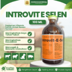 INTROVIT E SELEN 100 ML – Untuk Meningkatkan Daya Tahan Tubuh dan Fertilitas Hewan Ternak