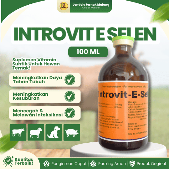 INTROVIT E SELEN 100 ML - Untuk Meningkatkan Daya Tahan Tubuh dan Fertilitas Hewan Ternak