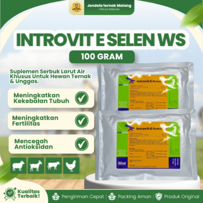 INTROVIT E SELEN WS 100 GRAM – Vitamin Meningkatkan Fertilitas Dan Sistem Kekebalan.