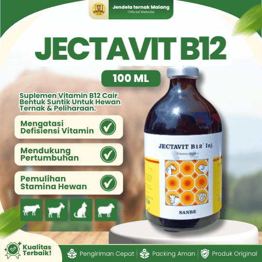 JECTAVIT B12 100 ML BY SANBE - Vitamin B12 Meningkatkan Dan Memulihkan Stamina Semua Hewan.