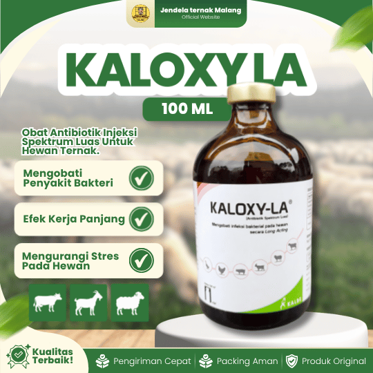 KALOXY LA 100 ML BY KALBE - AB Untuk Hewan Ternak Sapi Kambing Domba