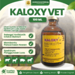 KALOXY VET 100 ML –  AB Untuk Pernapasan Dan Pencernaan Hewan Ternak